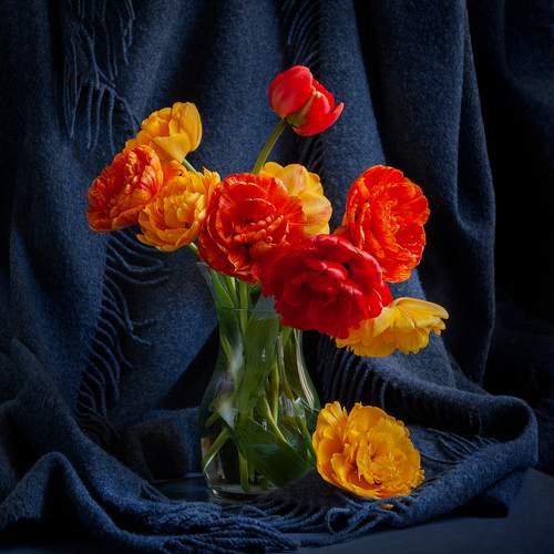 Превью фотографии фотографа Arnis Krūmiņš