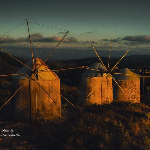 Превью фотографии фотографа Veaceslav Chisalita