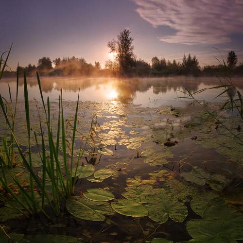 Превью фотографии фотографа Чичкин Валерий