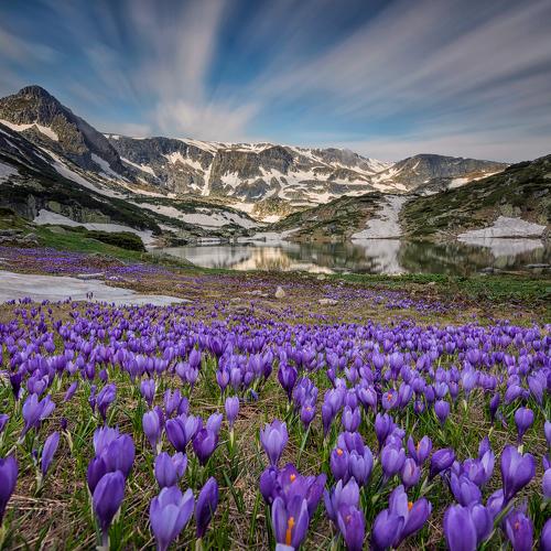 Preview Photographer\'s photo Svilen Simeonov