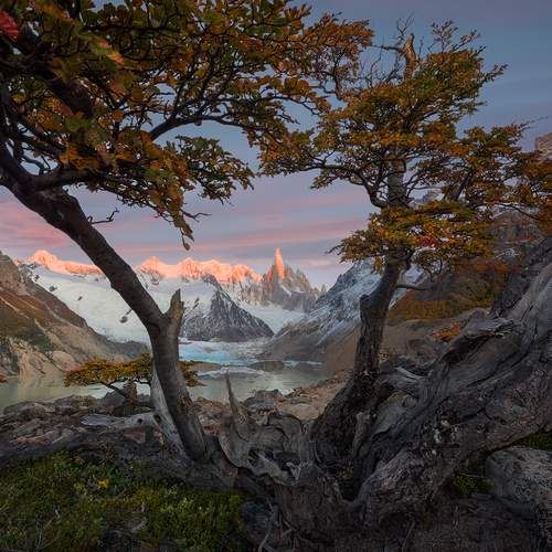 Превью фотографии фотографа Zargo Dinn