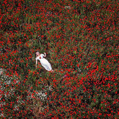 Preview Photographer\'s photo Bogdan Negoita