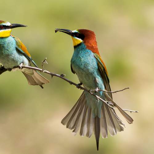 Preview Photographer\'s photo Валерий Черняк