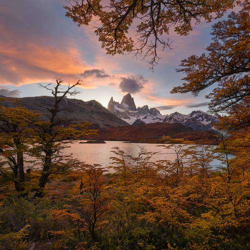 Превью фотографии фотографа Zargo Dinn