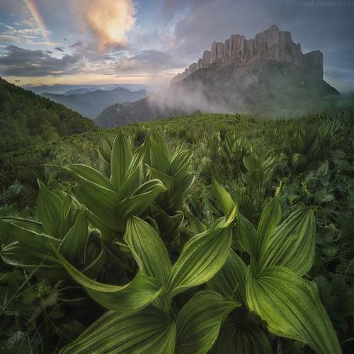 Preview Photographer\'s photo Василий Яковлев