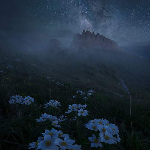 Превью фотографии фотографа Дударев Александр