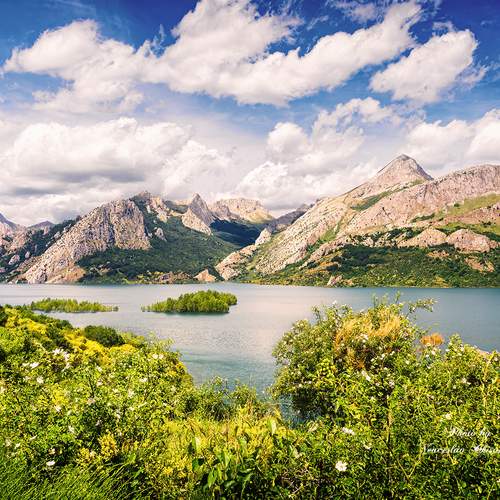 Превью фотографии фотографа Veaceslav Chisalita