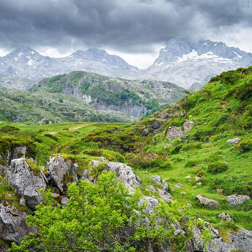 Preview Photographer\'s photo Veaceslav Chisalita