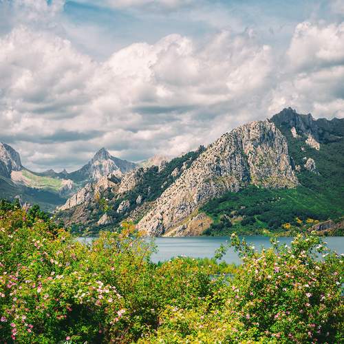 Preview Photographer\'s photo Veaceslav Chisalita