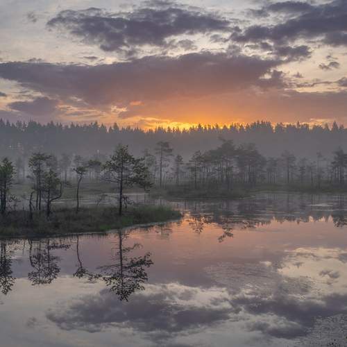 Preview Photographer\'s photo Mikhail Ioannisian