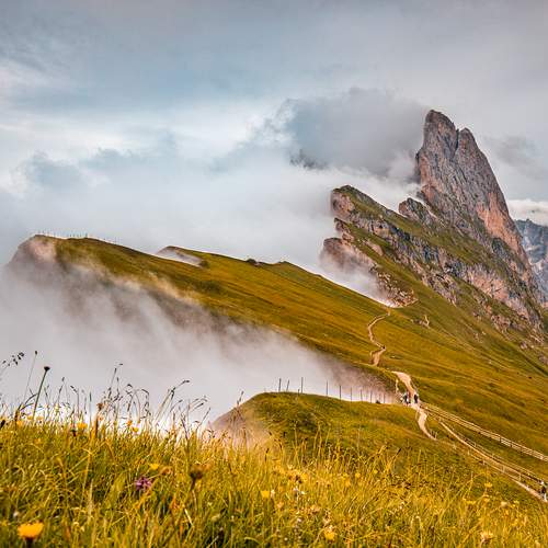 Preview Photographer\'s photo  Gregor