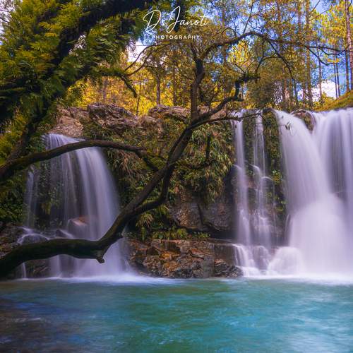 Превью фотографии фотографа Janoti Digvijay singh