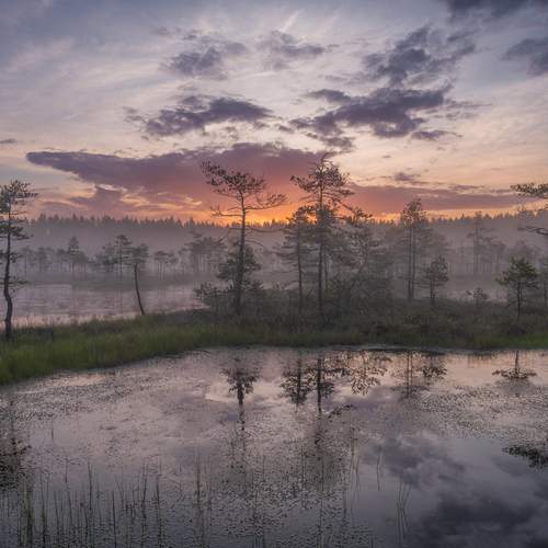 Превью фотографии фотографа Mikhail Ioannisian