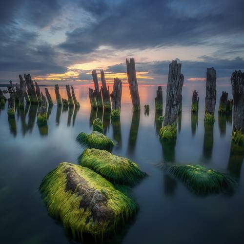 Preview Photographer\'s photo Марголин Алексей