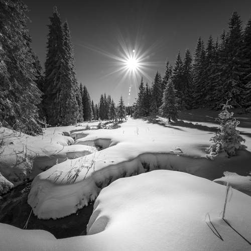 Превью фотографии фотографа Mariyana Atanasova - Lucero