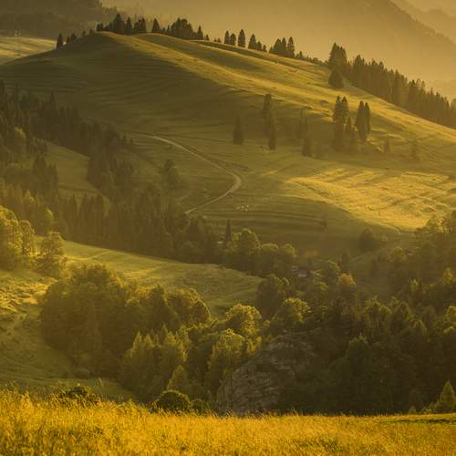 Превью фотографии фотографа Damian Cyfka