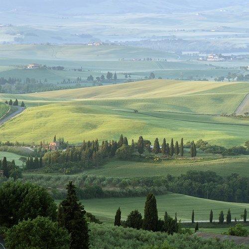 Preview Photographer\'s photo Olek Verze