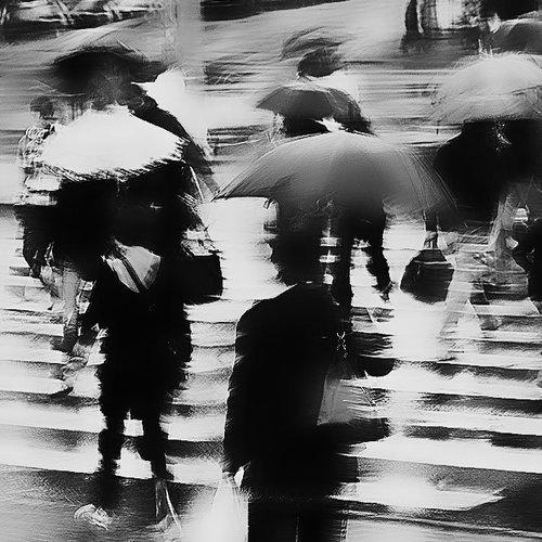 Превью фотографии фотографа BLUZ