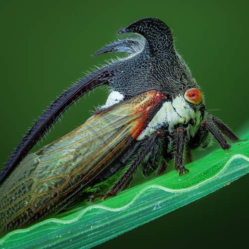 Preview Photographer\'s photo Tran The Ngoc