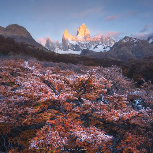 Превью фотографии фотографа Екатерина Сысоева