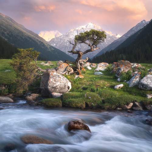 Превью фотографии фотографа Екатерина Сысоева