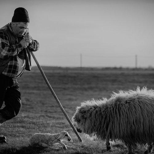 Preview Photographer\'s photo Nicolae Fanurie Chirobocea