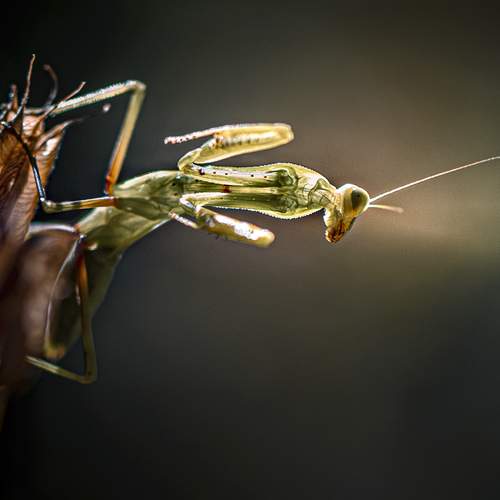 Preview Photographer\'s photo Неля Рачкова