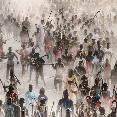 Превью фотографии фотографа Trevor Cole