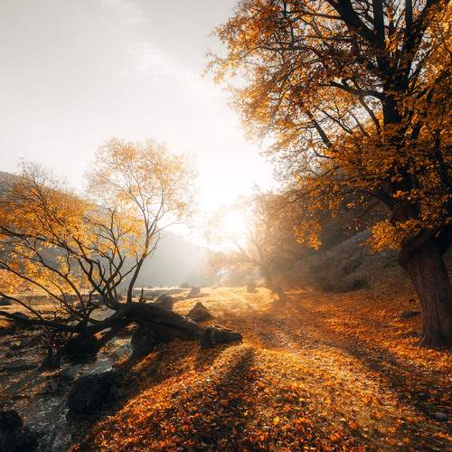 Preview Photographer\'s photo Сухенко Олег