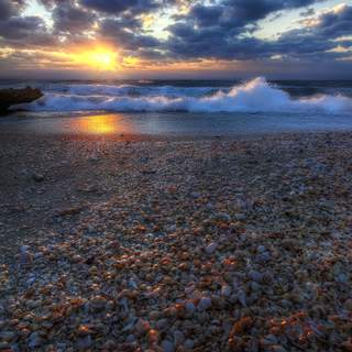 Махаббат апокалипсисі порно фильм