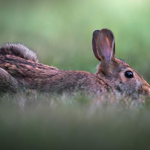 Preview Photographer\'s photo Atul Saluja