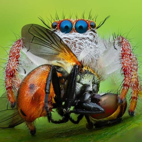 Preview Photographer\'s photo Tran The Ngoc