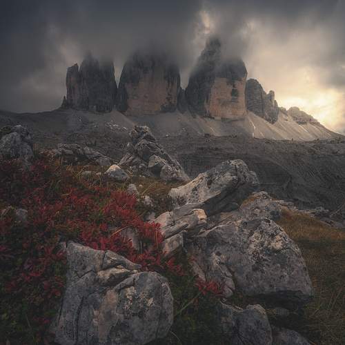 Preview Photographer\'s photo de Franzoni Thomas