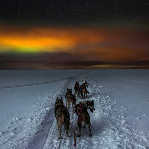 Превью фотографии фотографа Вадим Городницкий
