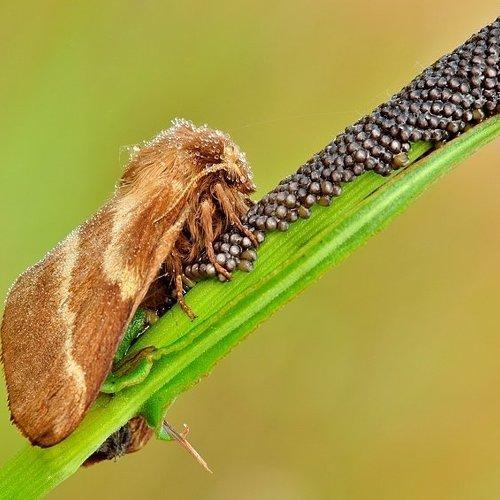 Превью фотографии фотографа Mariusz Oparski