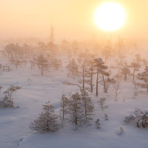Превью фотографии фотографа Гордон Николай