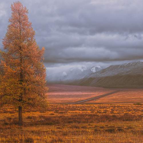 Превью фотографии фотографа Усанин Максим