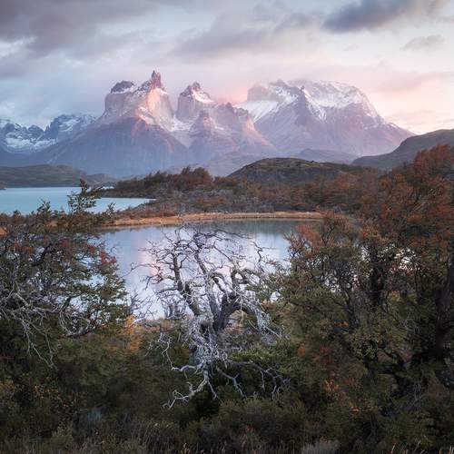 Превью фотографии фотографа Екатерина Сысоева