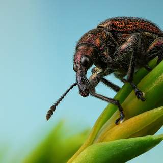 Роботтармен бұрмаланған порно Жалаңаш орыс жігіттерінің суреттері