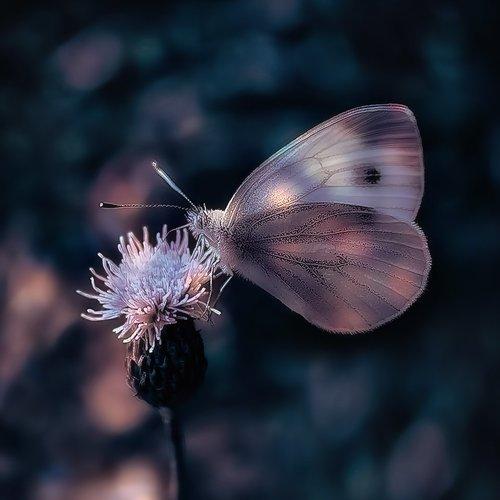 Preview Photographer\'s photo Nataliorion