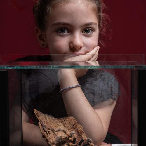 Превью фотографии фотографа Shopov Stoyan