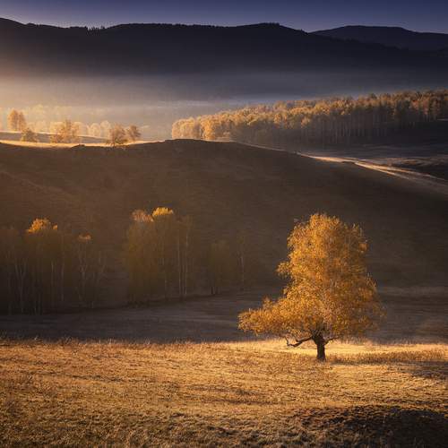 Превью фотографии фотографа Татьяна Бирюкова