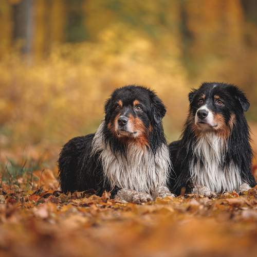 Превью фотографии фотографа Яна Нарбутович