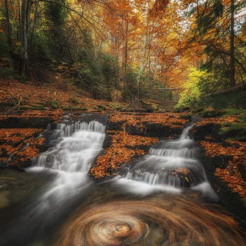 Превью фотографии фотографа Маджаров Костадин