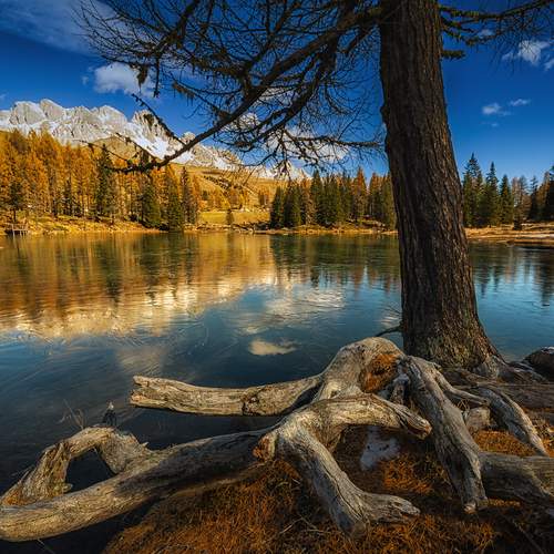 Preview Photographer\'s photo Anconetani Luca