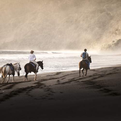 Превью фотографии фотографа Ходос Илья