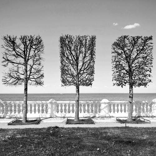 Превью фотографии фотографа Герц Дмитрий