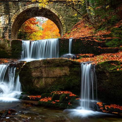 Preview Photographer\'s photo Георгиев Иван