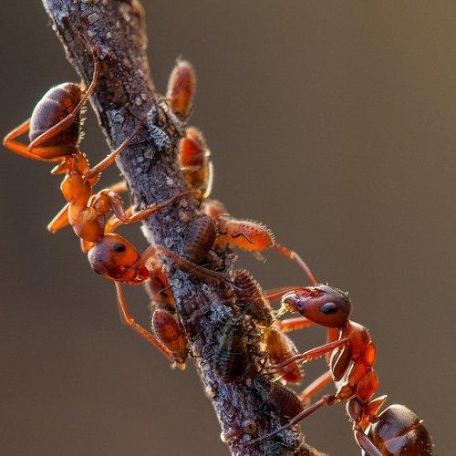 Превью фотографии фотографа Mariusz Oparski