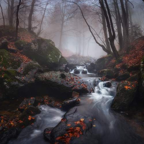 Preview Photographer\'s photo Александър Александров